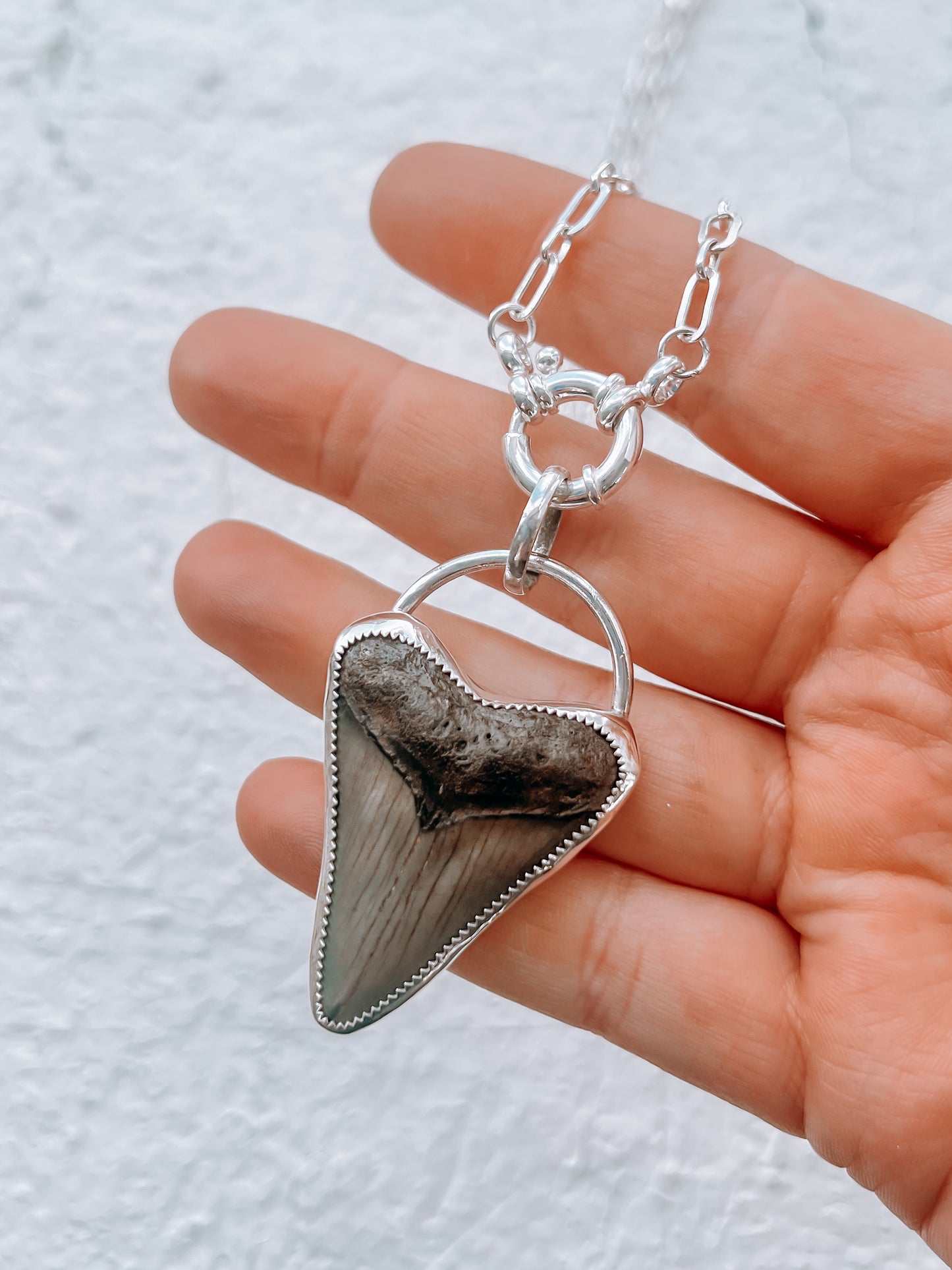 Megalodon Tooth Necklace
