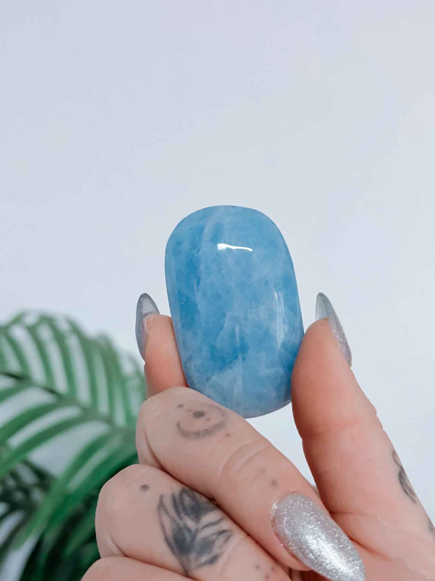 Aquamarine Palmstone