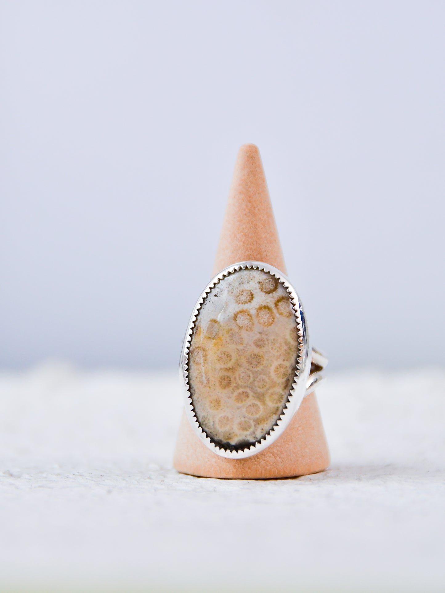 Fossilized Coral Ring (9)