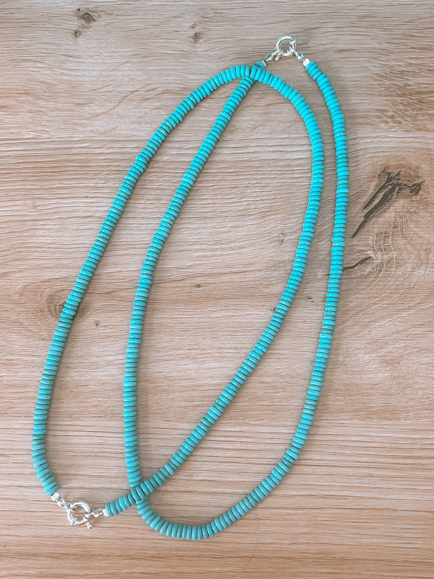 Turquoise Necklace (Charmkeeper)