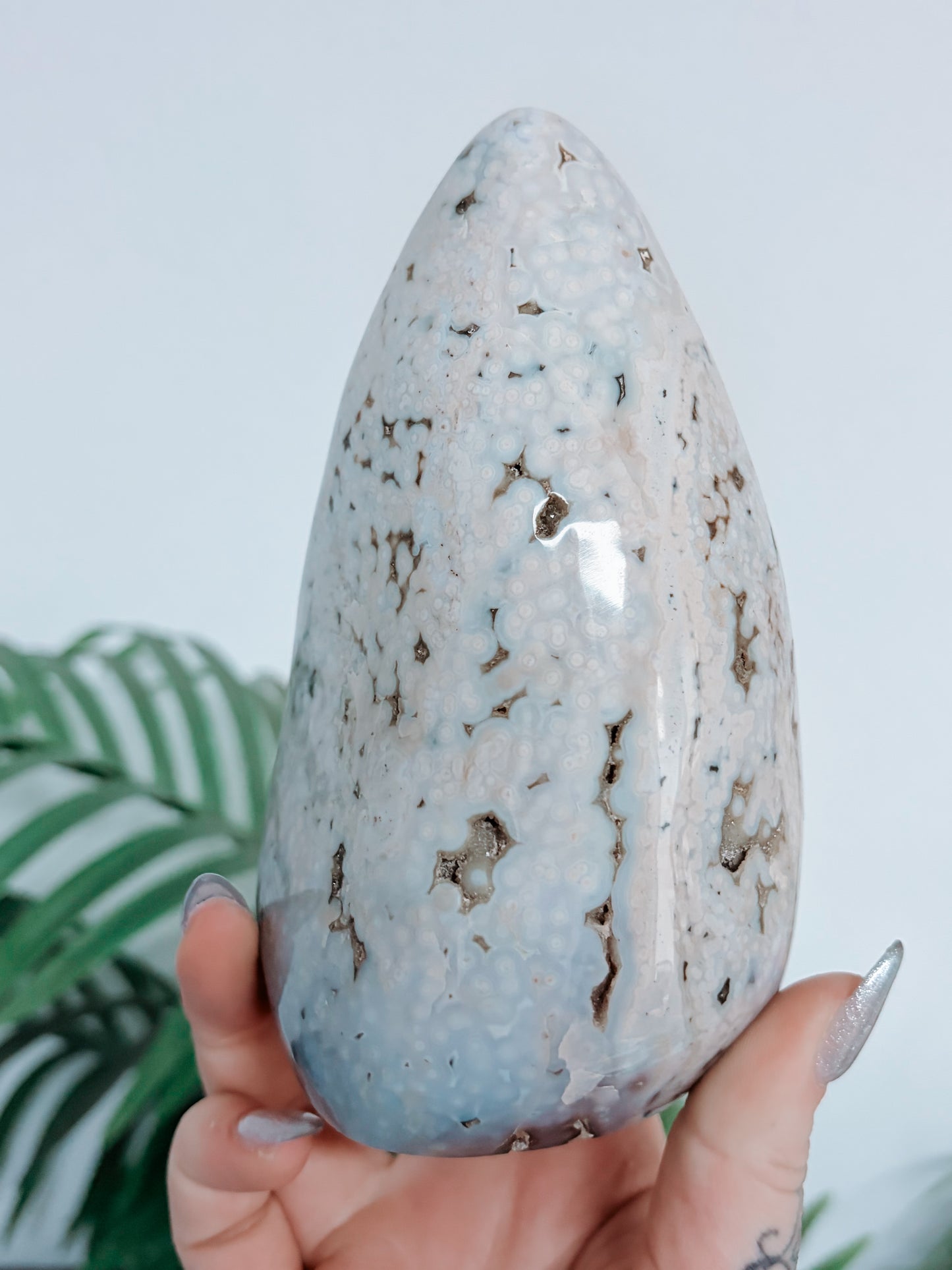 Sea Jasper Freeform