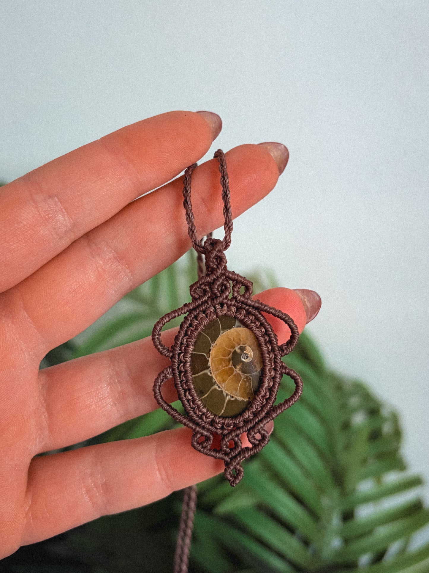 Ammonite Necklace