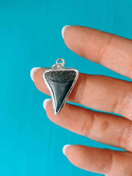 Shark Tooth Charm