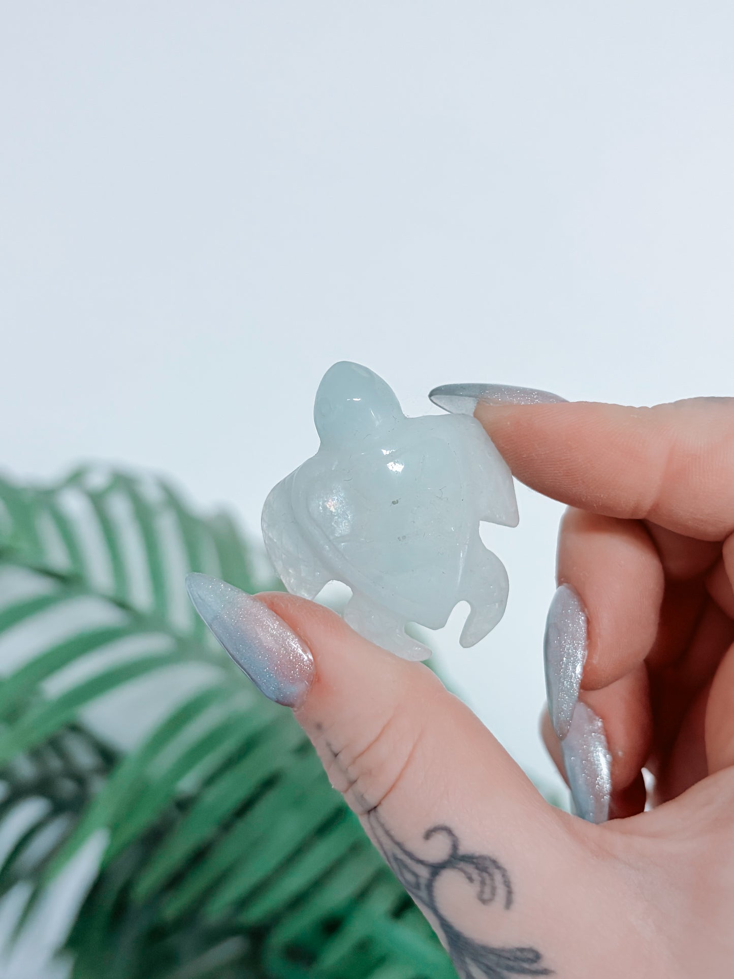 Aquamarine Turtle