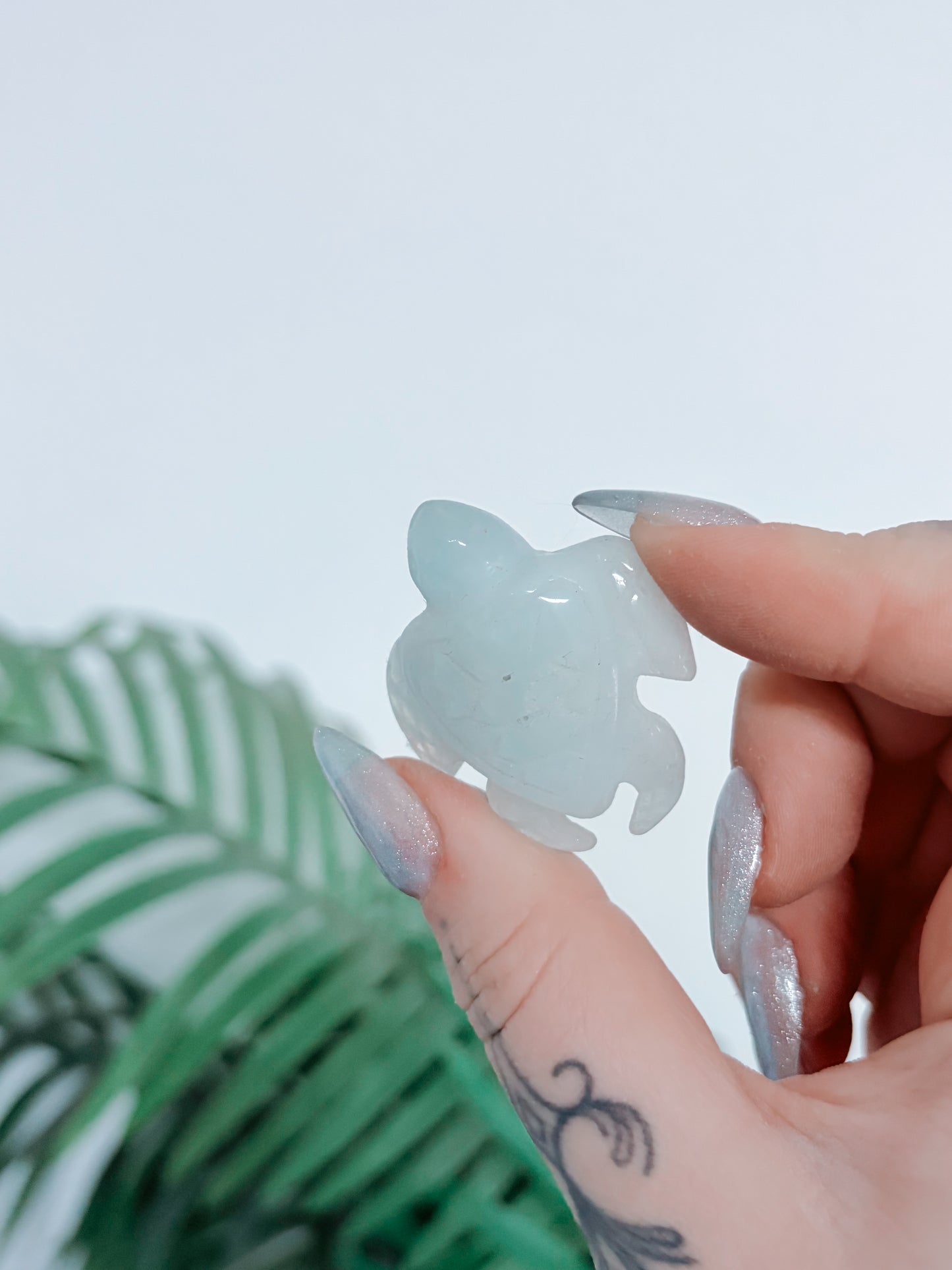 Aquamarine Turtle