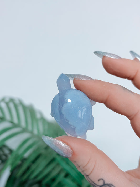 Blue Lace Agate Turtle