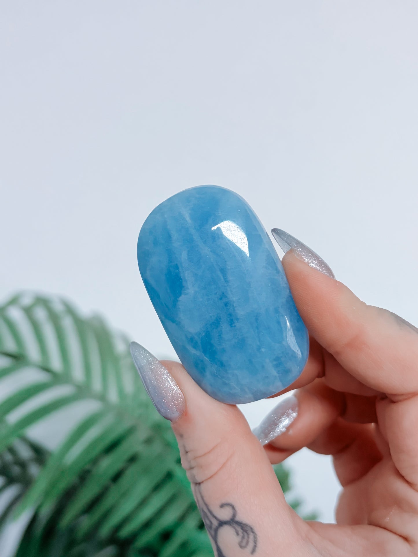 Aquamarine Palmstone