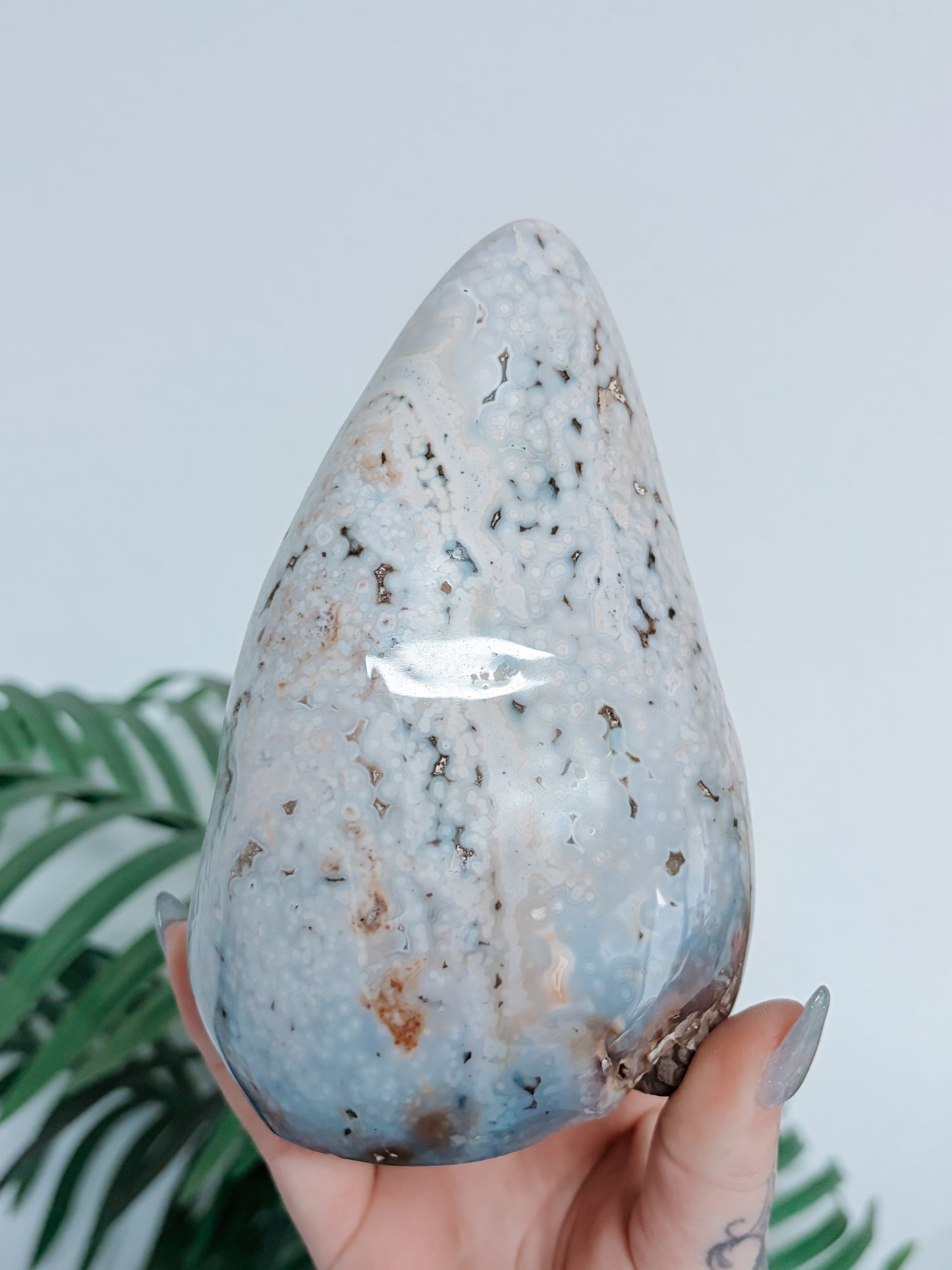 Sea Jasper Freeform