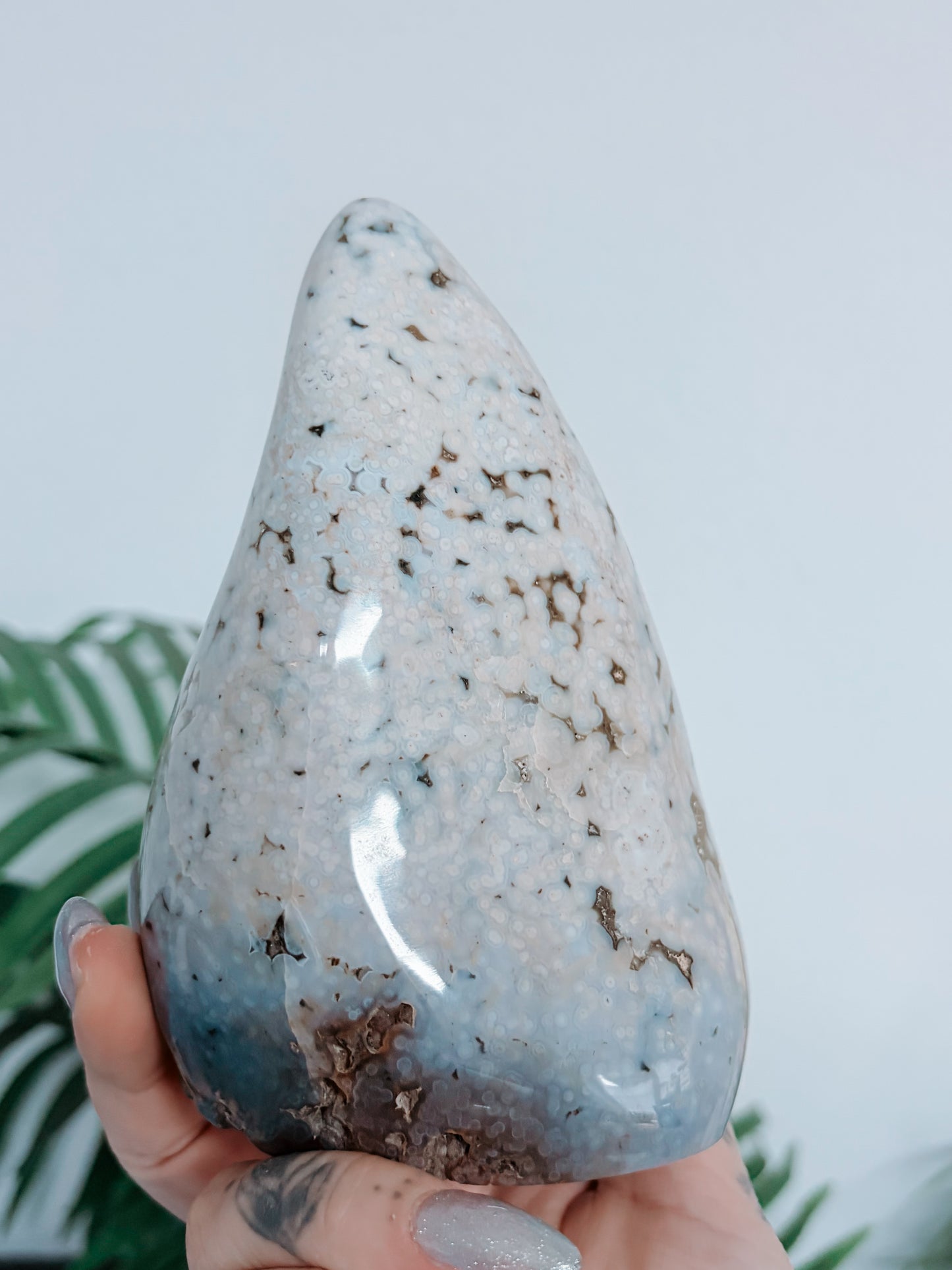 Sea Jasper Freeform