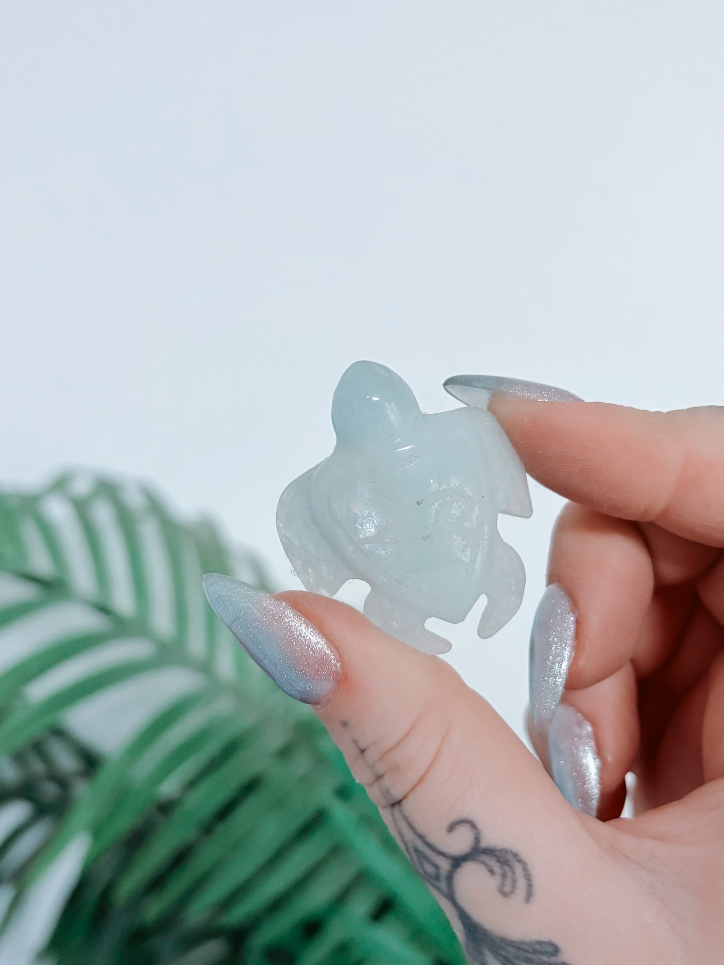 Aquamarine Turtle