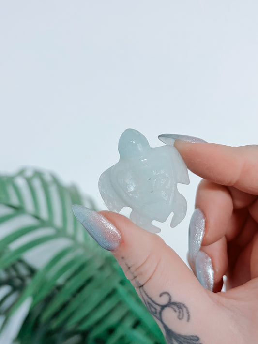 Aquamarine Turtle