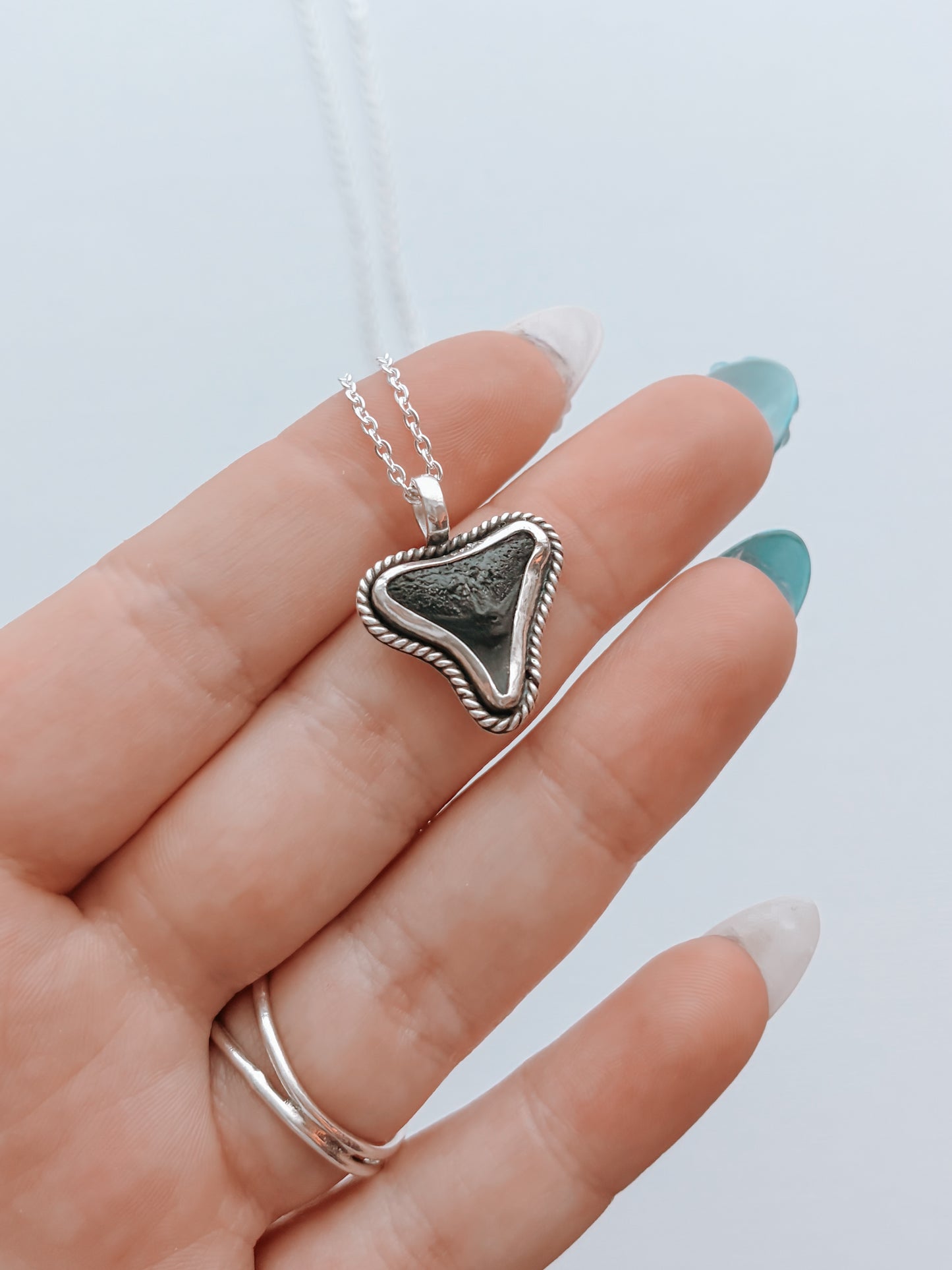 Shark Tooth Necklace