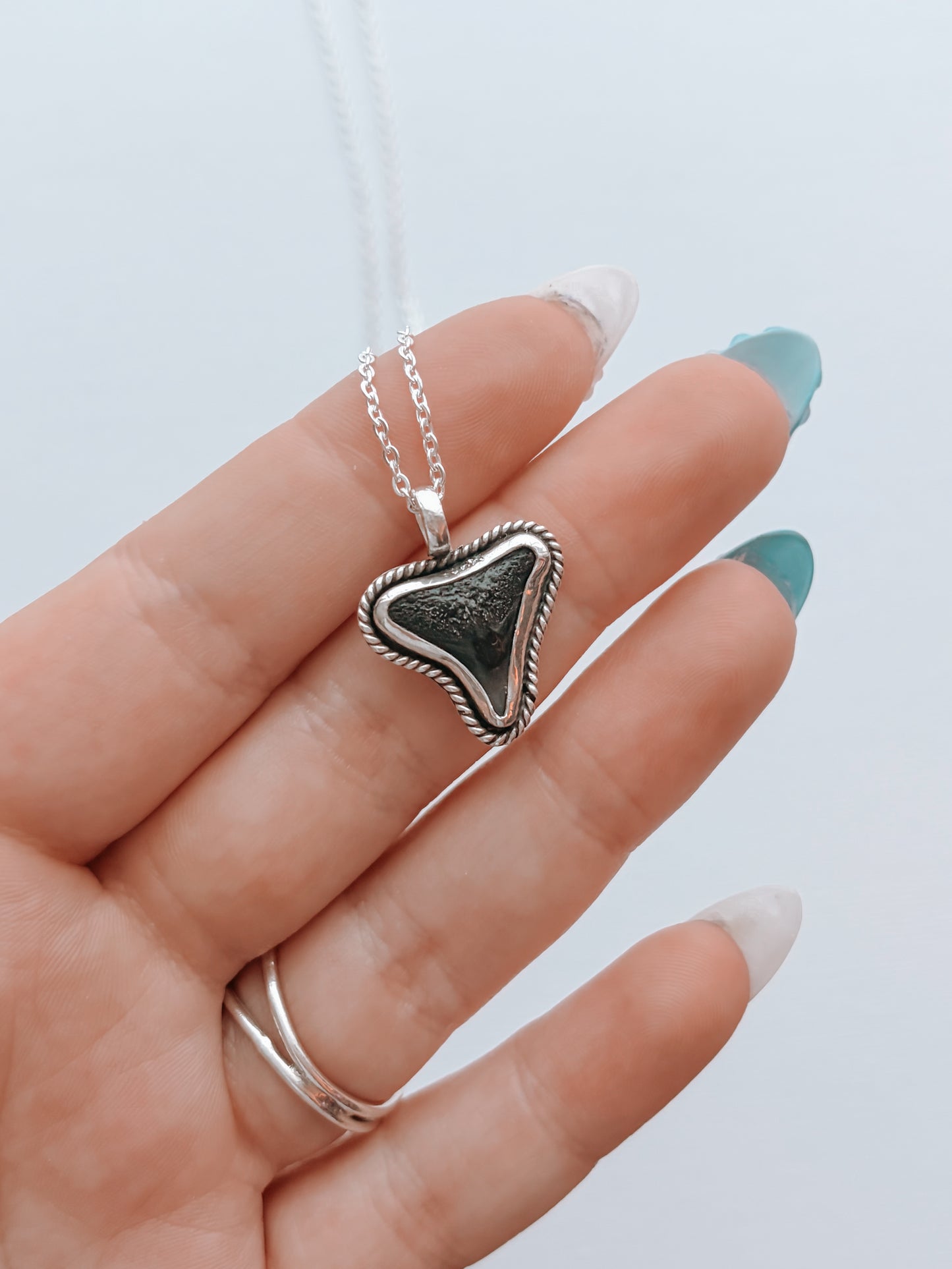 Shark Tooth Necklace