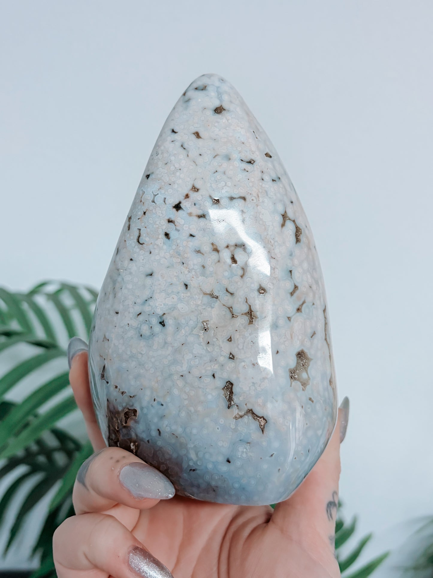 Sea Jasper Freeform