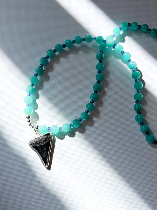 Shark Tooth & Amazonite Necklace