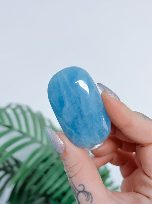 Aquamarine Palmstone