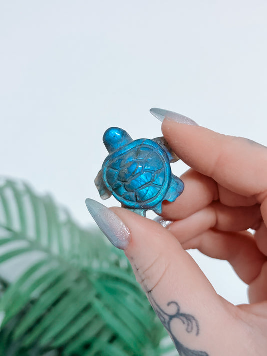 Labradorite Turtle