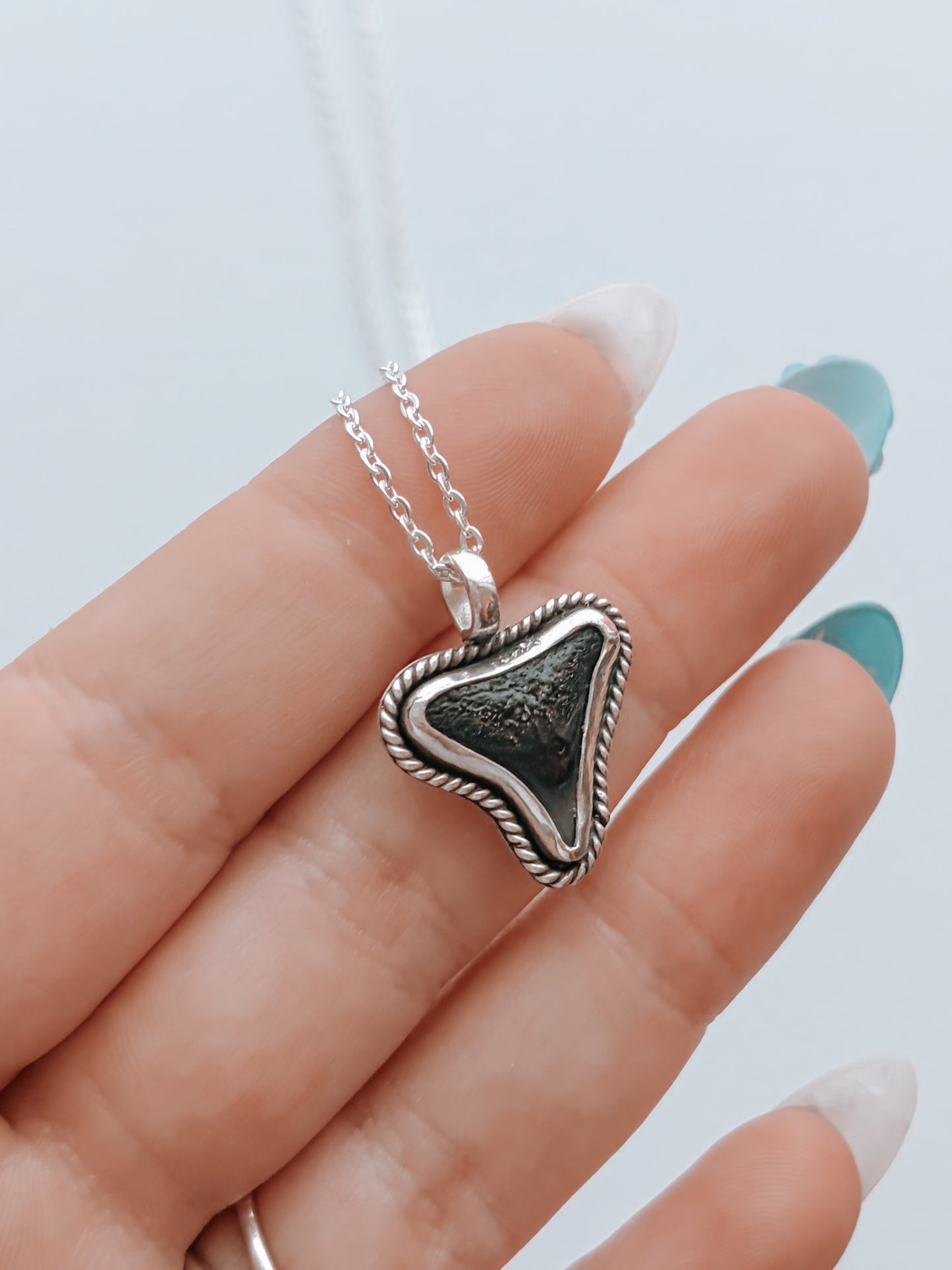 Shark Tooth Necklace