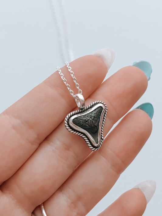 Shark Tooth Necklace