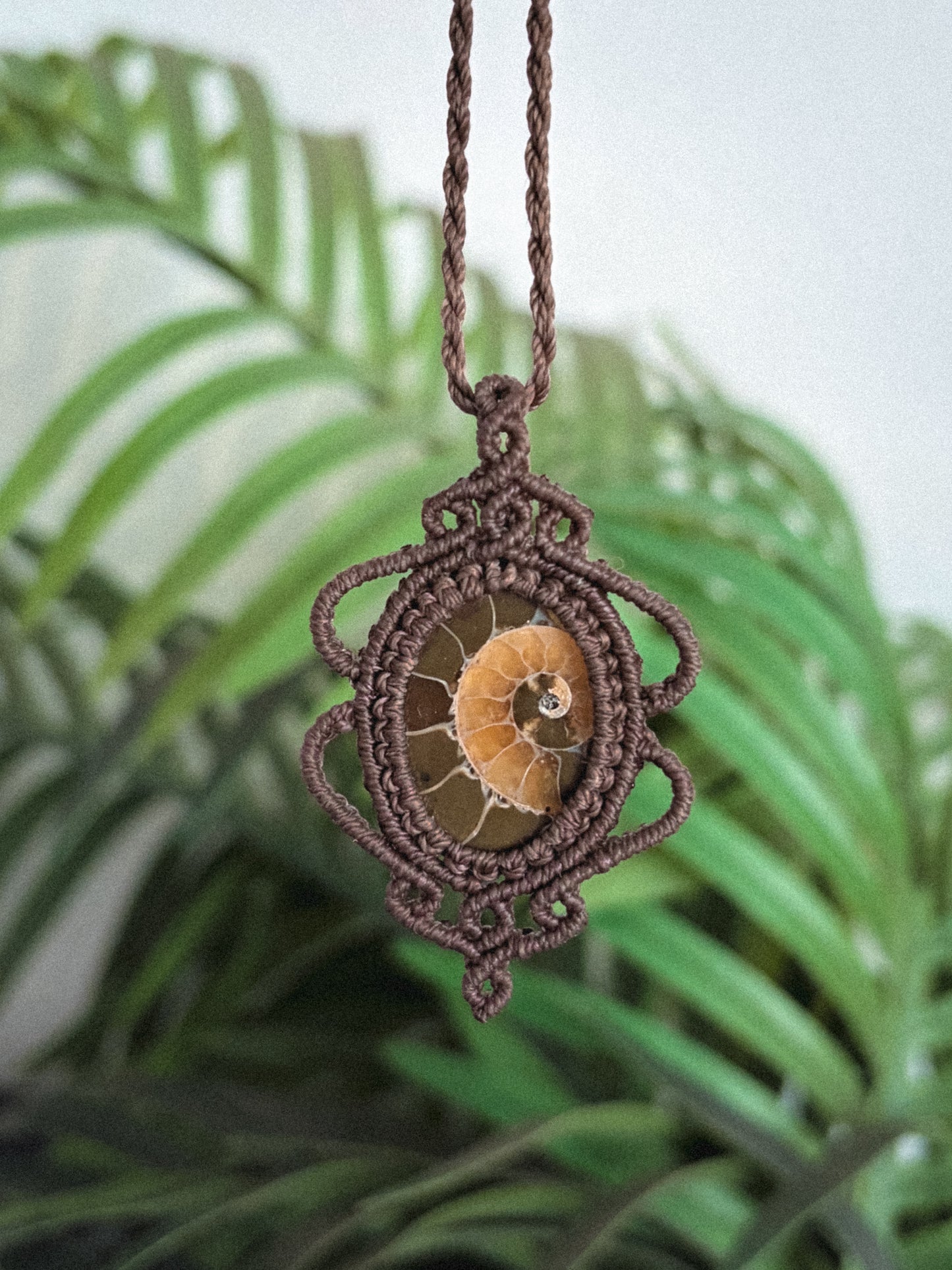 Ammonite Necklace