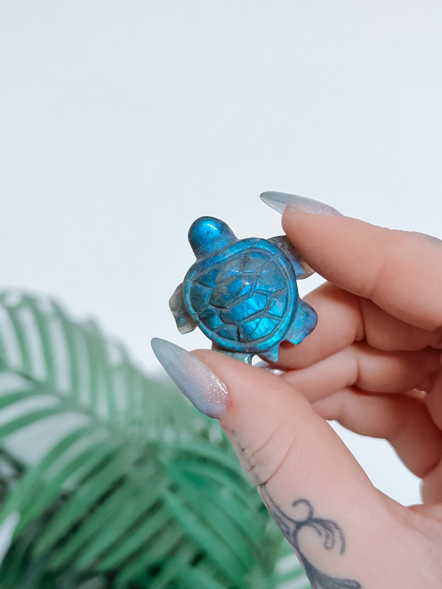 Labradorite Turtle